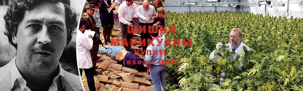 бутират Сосновка