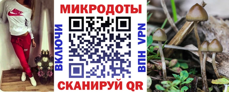 Купить закладки  Усть-Лабинск  Псилоцибиновые грибы прущие грибы 