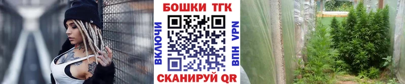 Бошки марихуана сатива  Купить закладки  Усть-Лабинск 